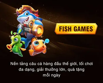 Phân Tích Ưu Đãi ROY79